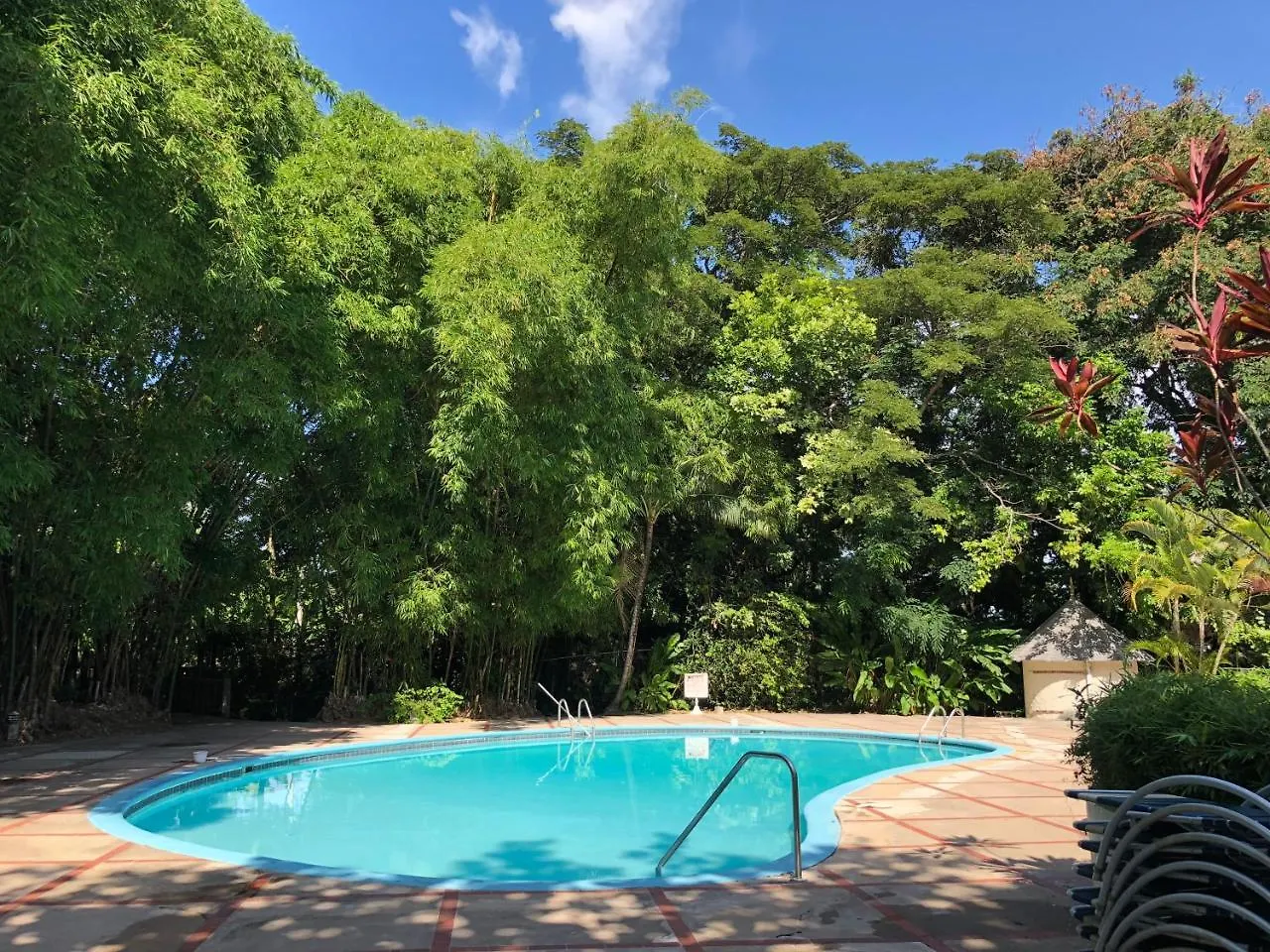 Tropical Escape Villa Ocho Rios